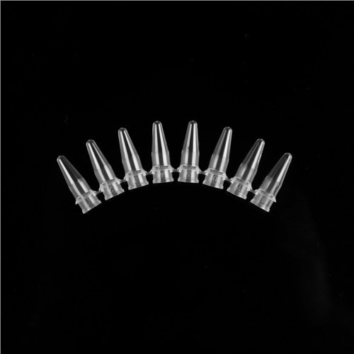 8 riba 0,2 ml mikrotsentrifuugiga lamekattega torud